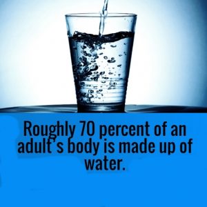 Facts-About-Water-300x300